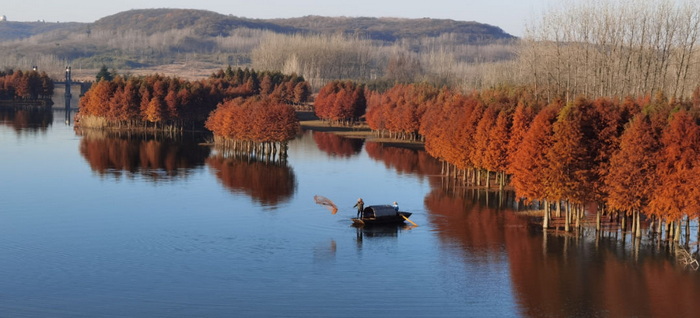 中国旅游短视频开拓者王国平，开创旅游线路短视频订购模式和美学风格及拍摄技巧