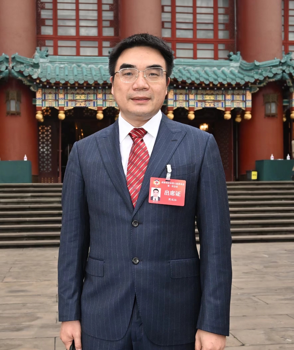 评论代表建议更好助力新重庆建设,重庆两会发展规划