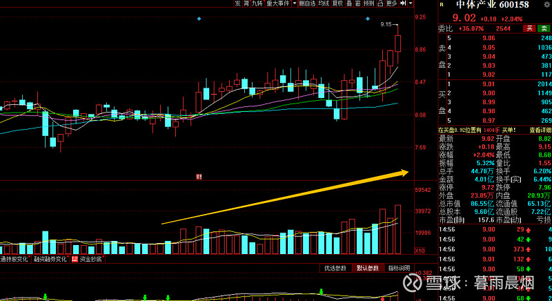 世界杯概念股双象股份,世界杯概念股价格