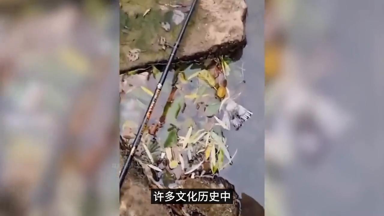 喷奶的牛？会隐身的大山？8个让你匪夷所思的瞬间！#离奇事件