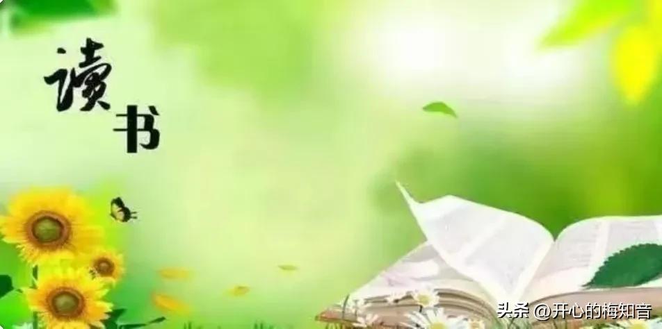 头条创作新手入门教程,经验分享主要讲哪几个点