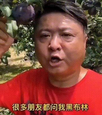 送命题女生回答问题,女朋友难产送命题