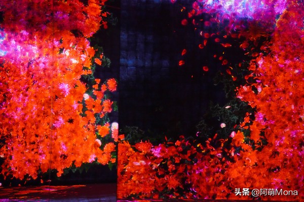 澳门难忘的一次旅行,澳门每来一次都有不一样的惊喜