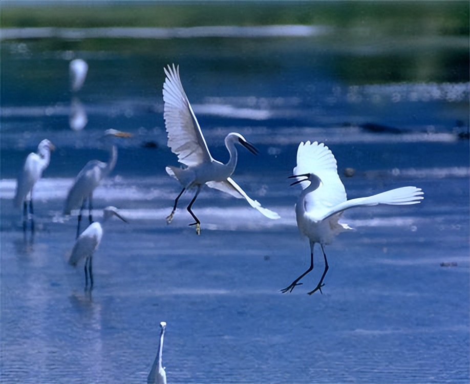5分钟带你了解厦门,关于厦门的秘密你知道多少