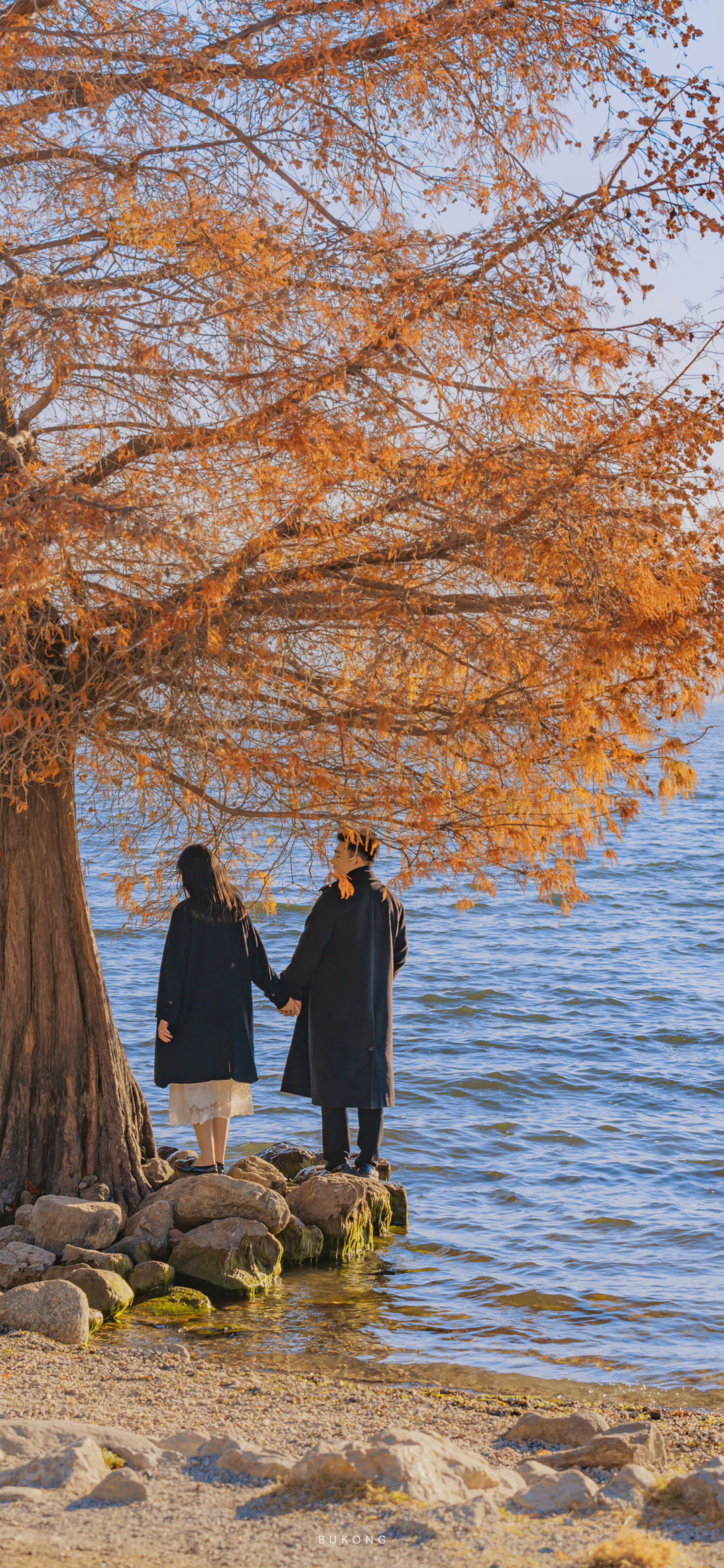 微信聊天背景图情侣海边背影,微信聊天背景图情侣专用一对