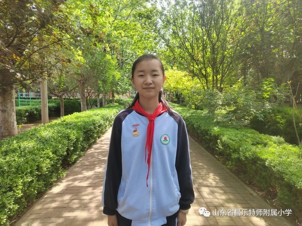 红领巾奖章三星奖章个人风采介绍,红领巾三星奖章队员事迹介绍