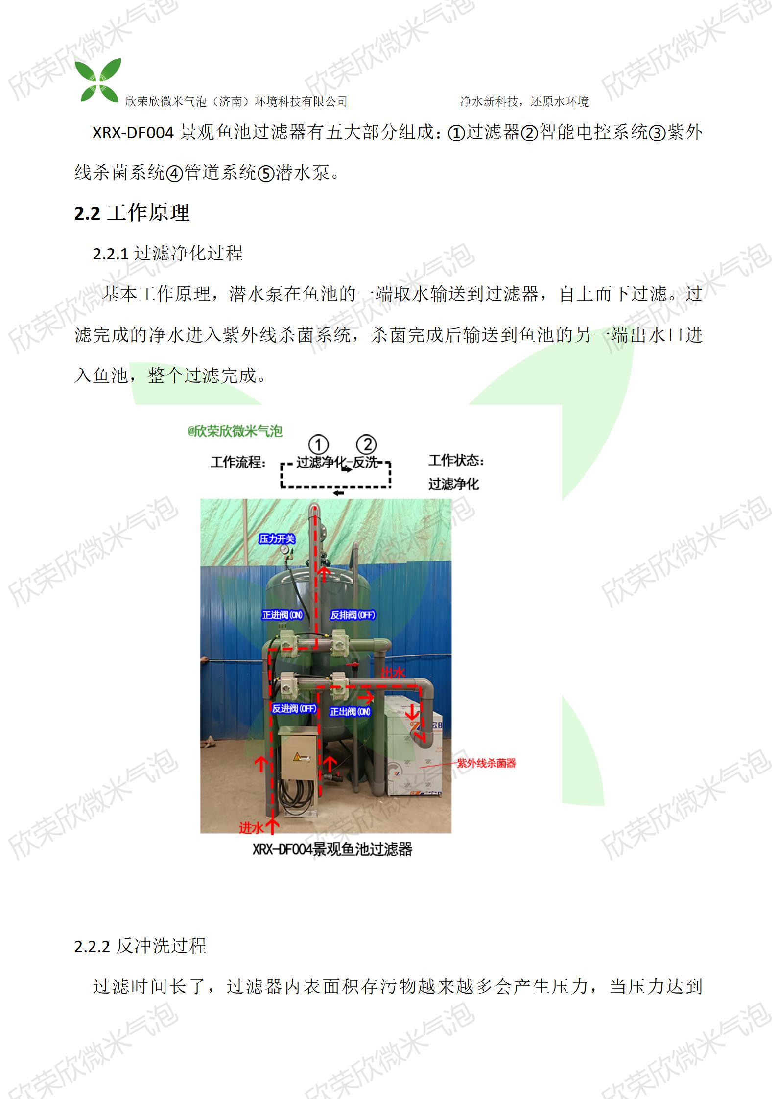 最简单鱼池净化系统,鱼池自净化生态系统