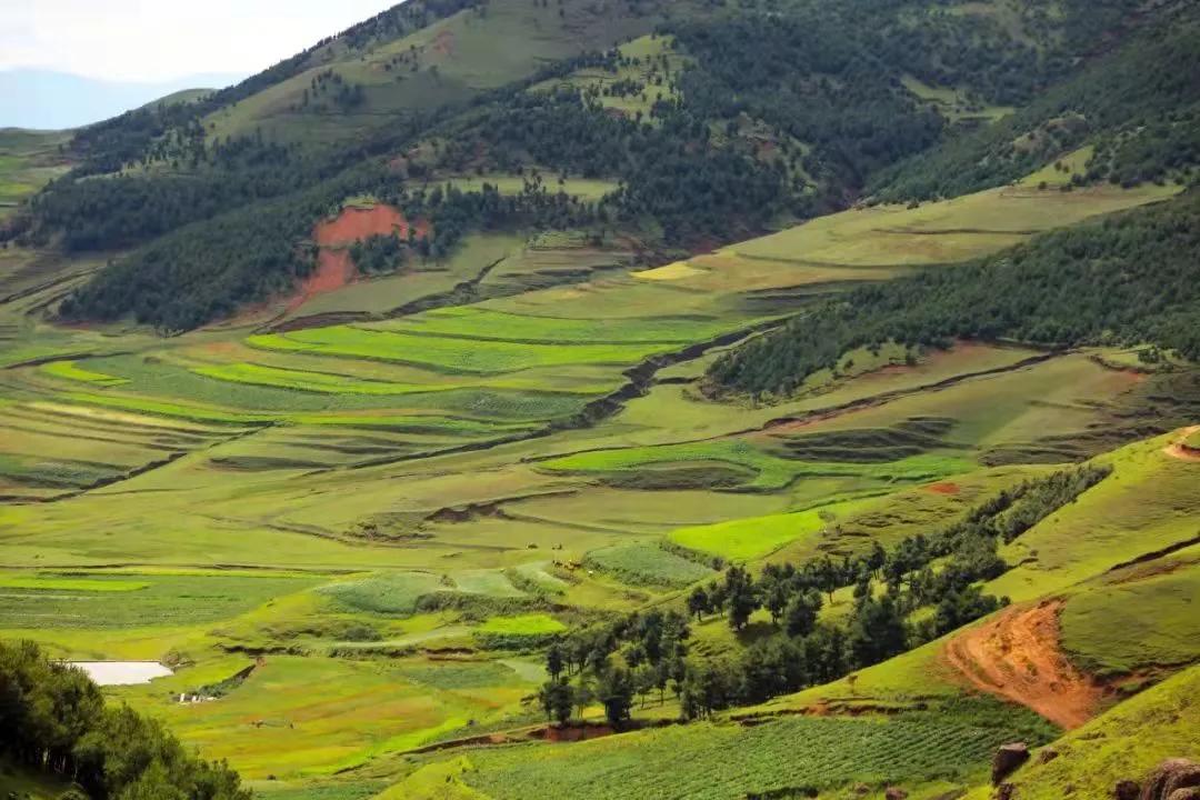 云南避暑旅游好去处推荐,云南避暑有哪些景点好玩