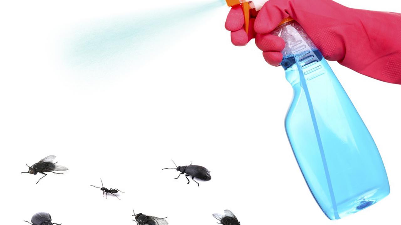 男子被蜘蛛咬了一口居然没事,男子被蜘蛛咬伤后进icu