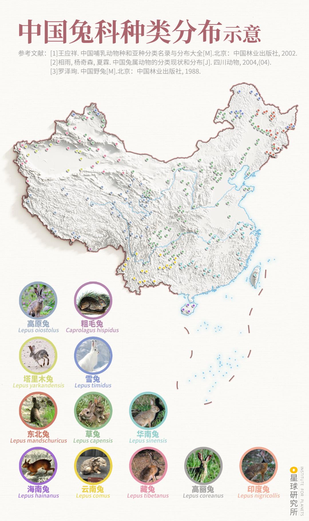 兔年来了,兔年来了怎么样