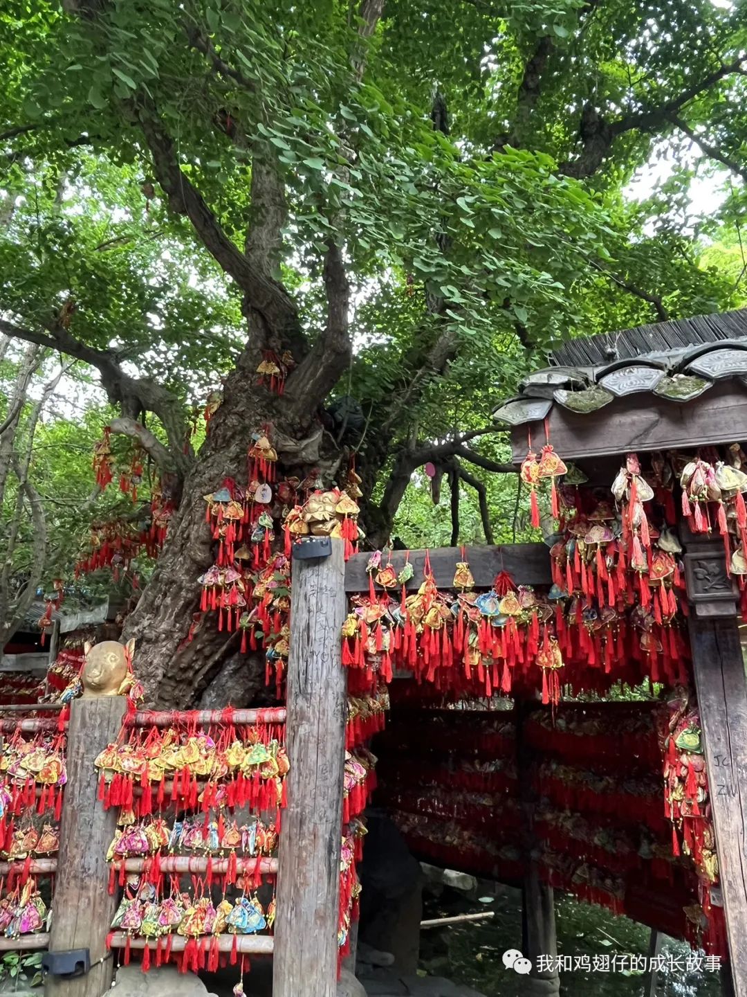 成都双流区特色美食排行榜前十名,成都建设路美食一条街详细地址