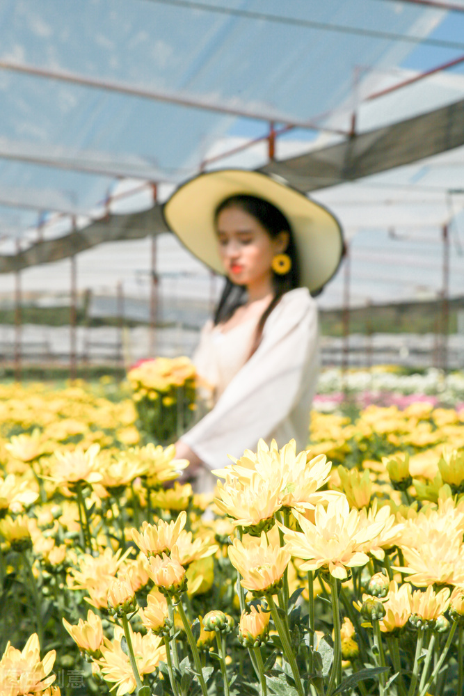 郭进栓汝州,郭进栓