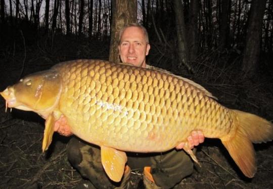 泰国鲤鱼价格表,200斤以上泰国鲤鱼