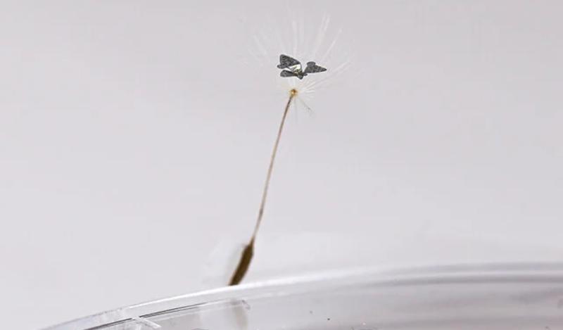 中国顶级无人机芯片,史上最小的芯片