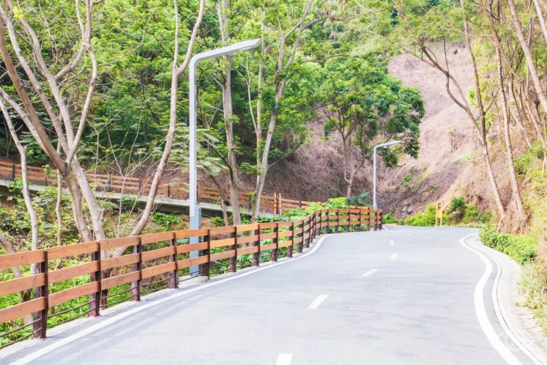 深圳10公里跑步路线,深圳跑步路线推荐塑胶跑道