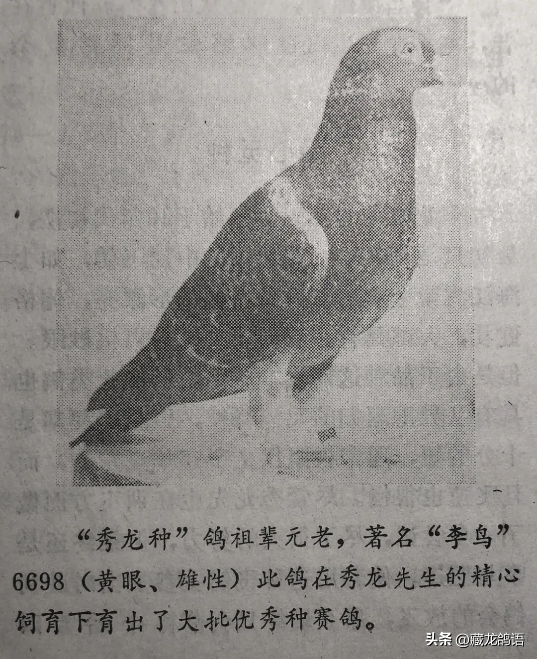 这是一位以“李鸟天落”起家却又超过李梅龄的大师,上