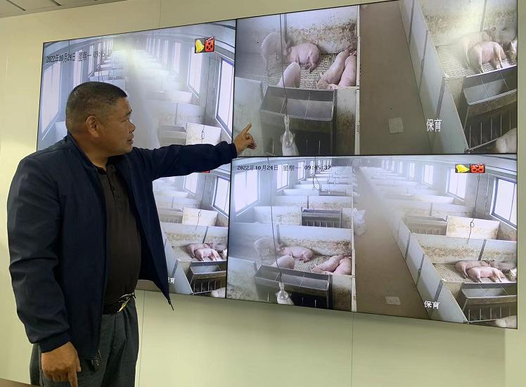 学习贯彻党的二十大精神三句半,学习贯彻党的二十大精神开场视频