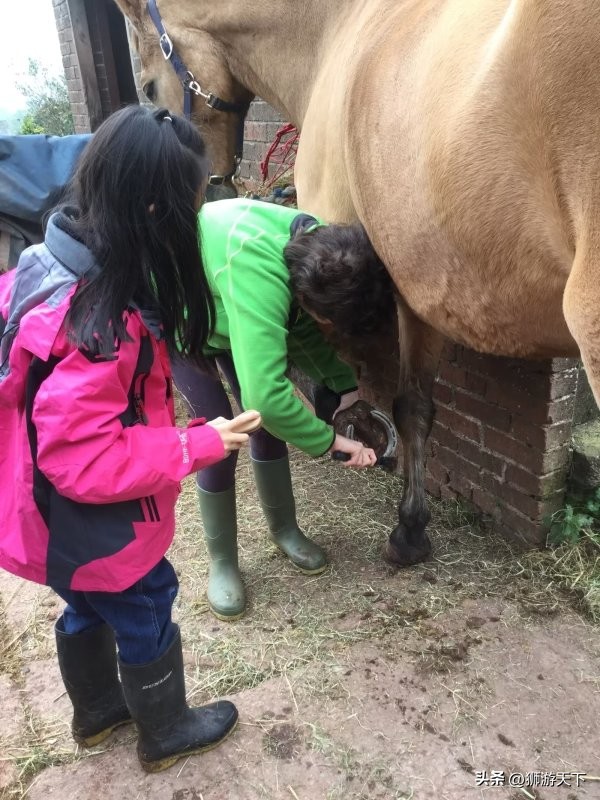 英国陪读活动,英国陪读的日常