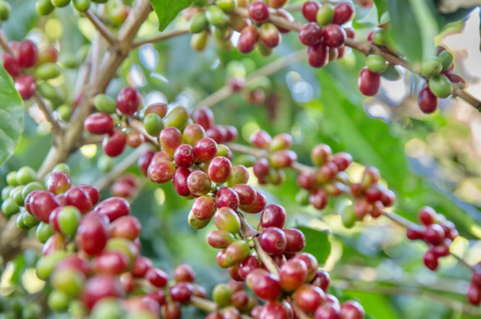 云南澜沧大山深处,云南澜沧边境乡村