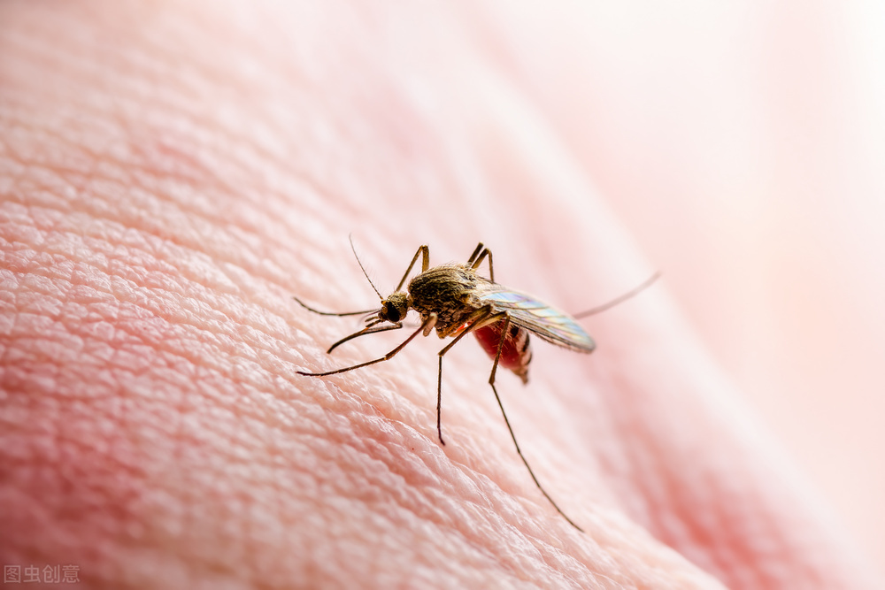 皮肤上凸起的“包”，不痛不痒是囊肿、结节？可能是这8种情况