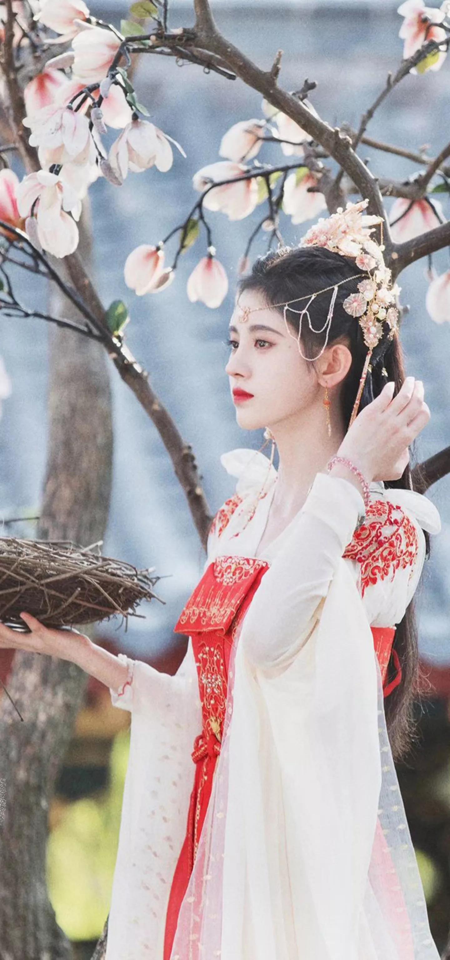 唯美古风金黄汉服美女壁纸,梦回大唐汉服夜景拍摄