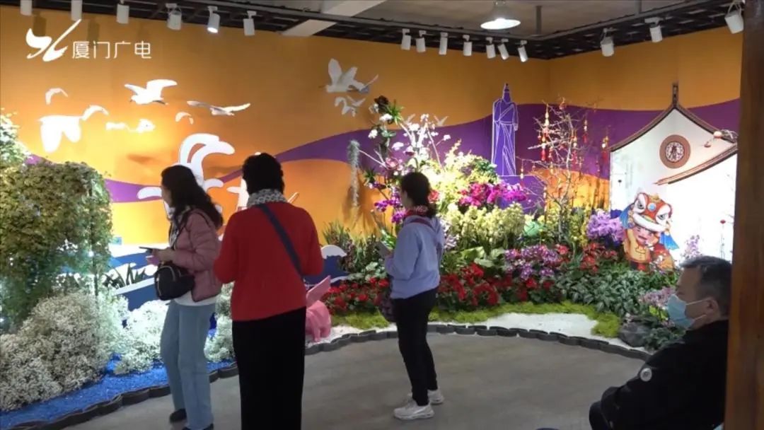 厦门人气旺旺旺,厦门人气高的自助