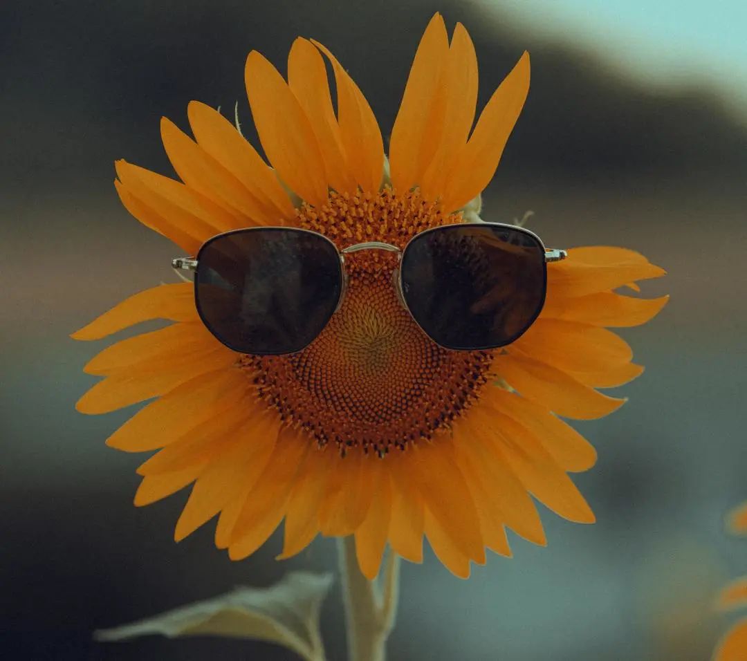 干货分享丨纺织品中重金属的来源与限值要求