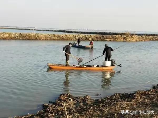 放生的鱼被抓对放生有意义吗,女子买25000斤鱼放生