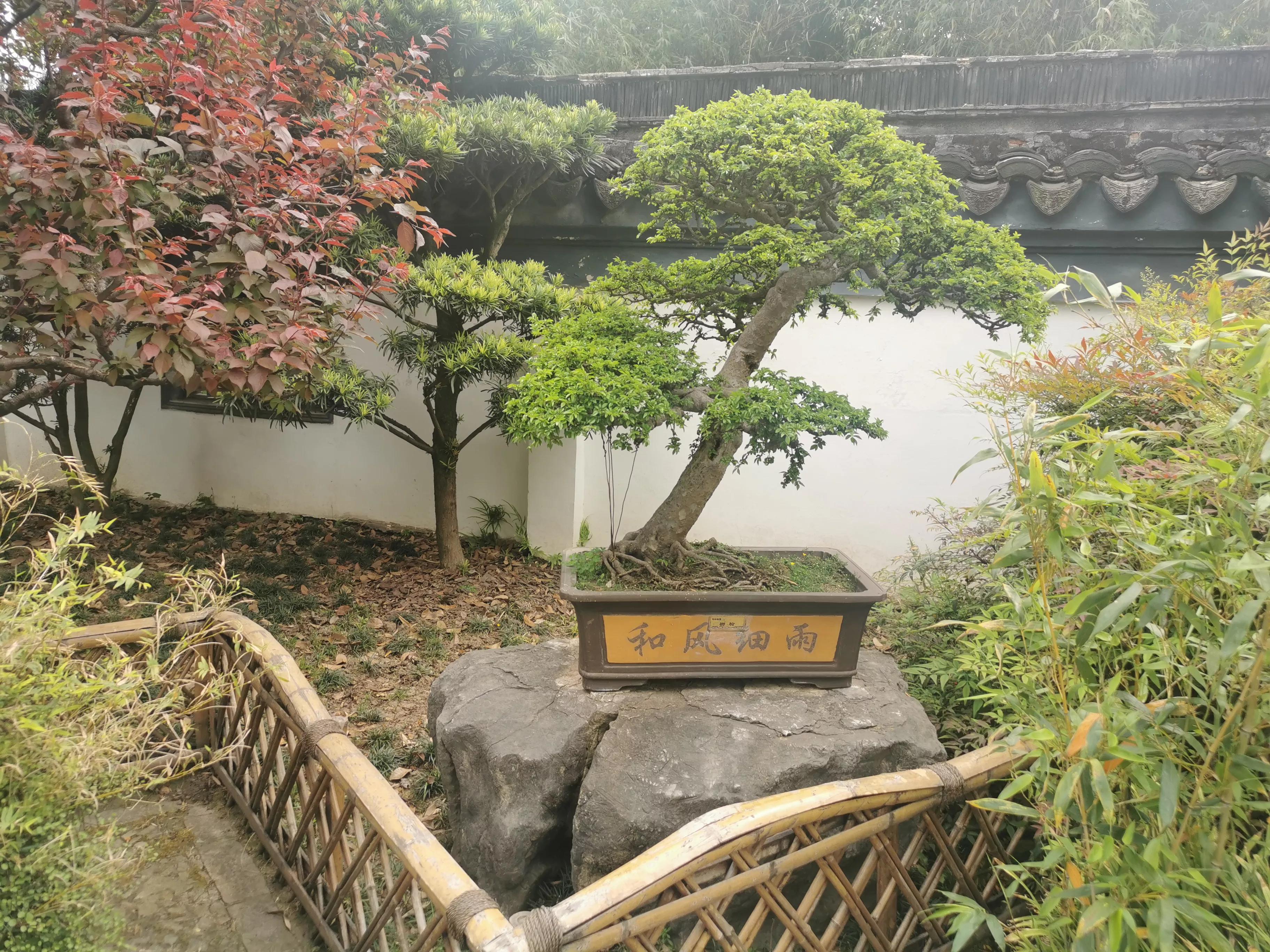 古猗园是上海五大园林之首,上海景区古猗园有哪些景点