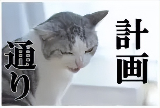 iphone14租赁,iphone14租划算吗