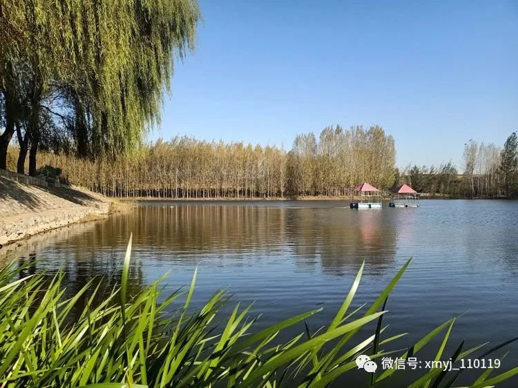 水库养鱼买苗,水库养鱼苗