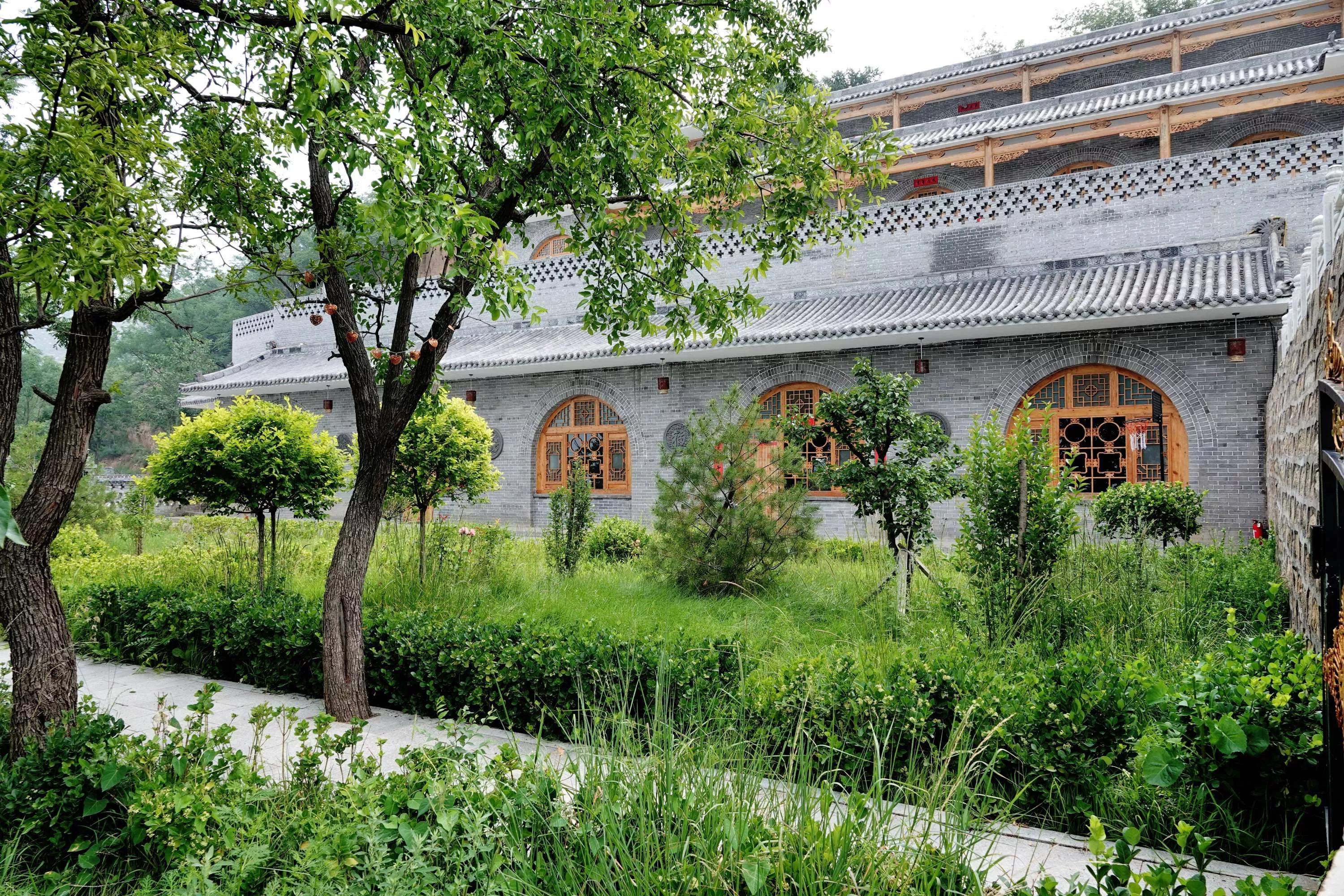 春暖花开，城市绿化有一种植物叫卫矛你了解它多少？