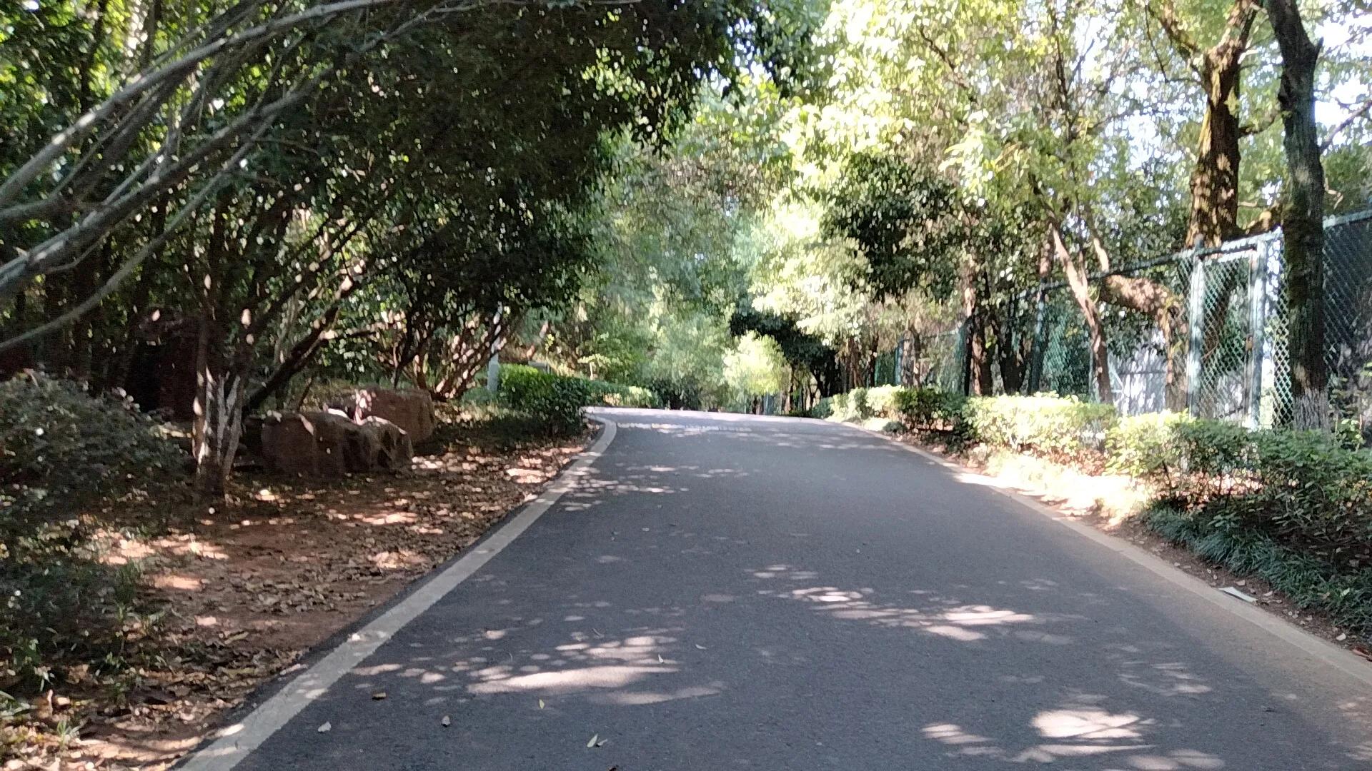 平湖明湖公园攻略,平湖公园免费景点