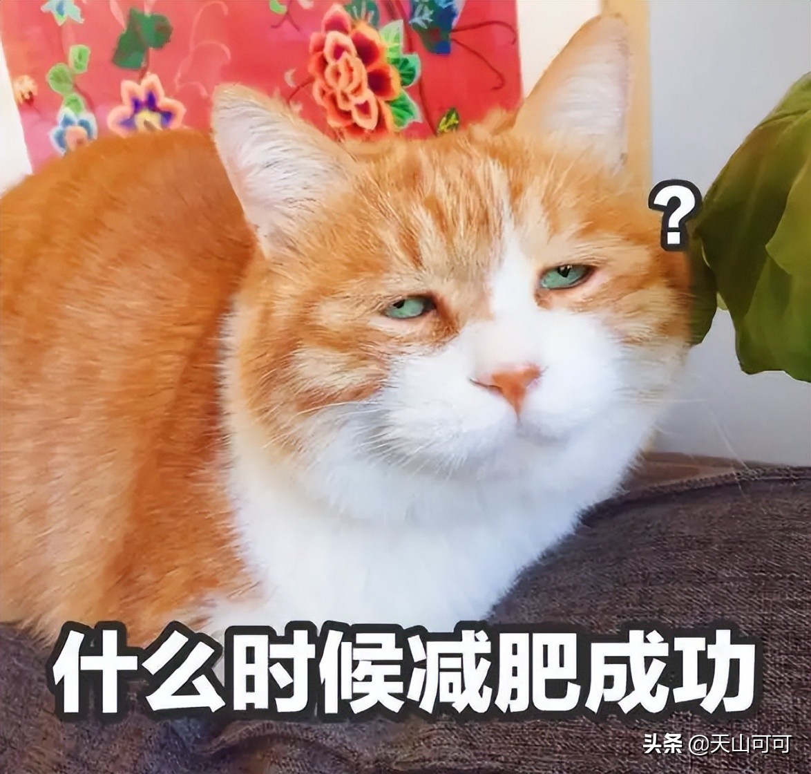 吃啥零食不长肉还减肥,减肥吃什么零食解馋不长肉