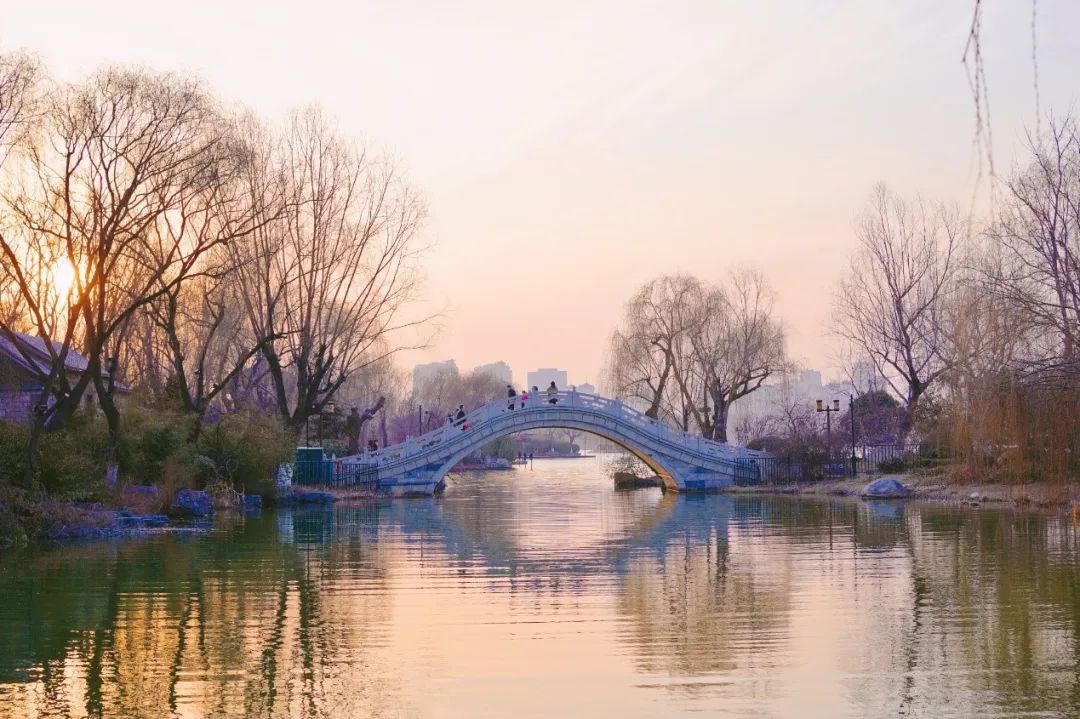 鍐ぉ琛楀ご鎽勫奖浣滃搧娆h祻,鍐ぉ浜烘枃鎽勫奖浣滃搧娆h祻