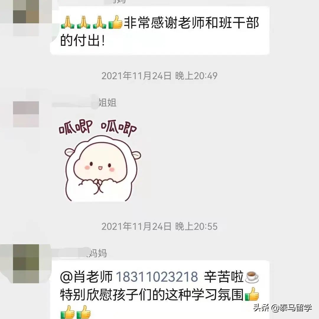 中央财经大学保险学院国际本科,中央财经大学保险学院3+1国际本科