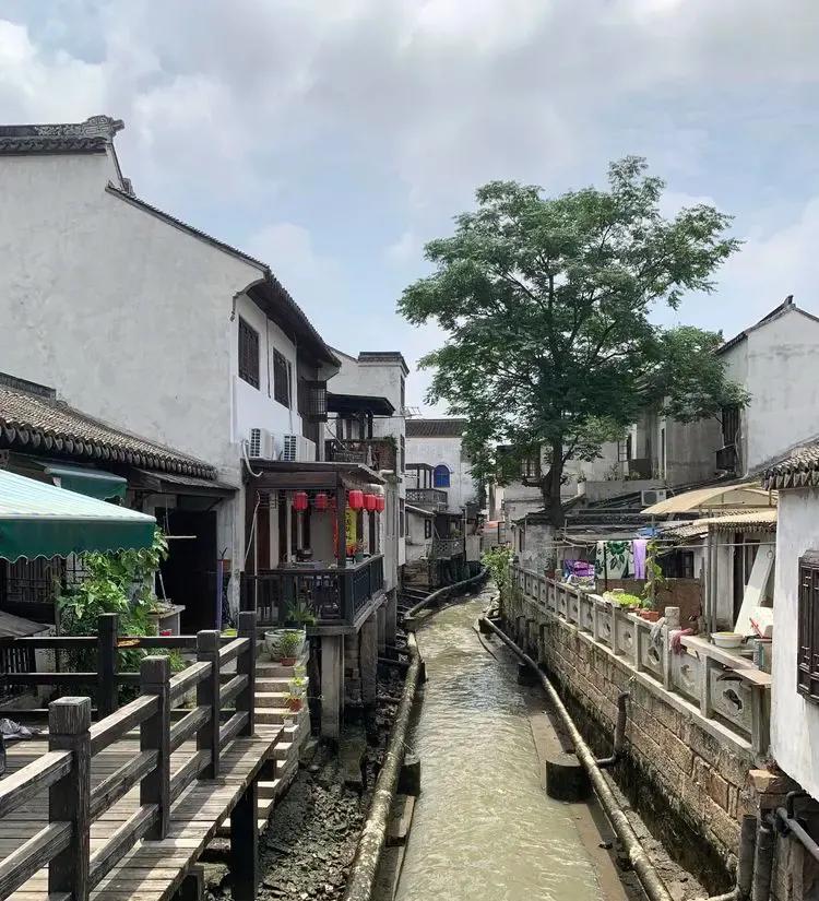 太仓浏家港视频,太仓浏河刘家巷
