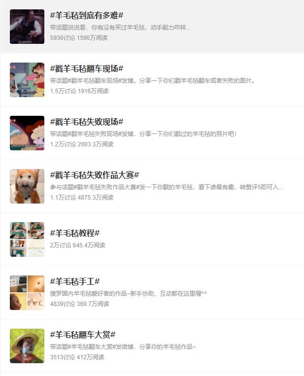 用羊毛毡还原自己死去的宠物,羊毛毡还原死去的宠物