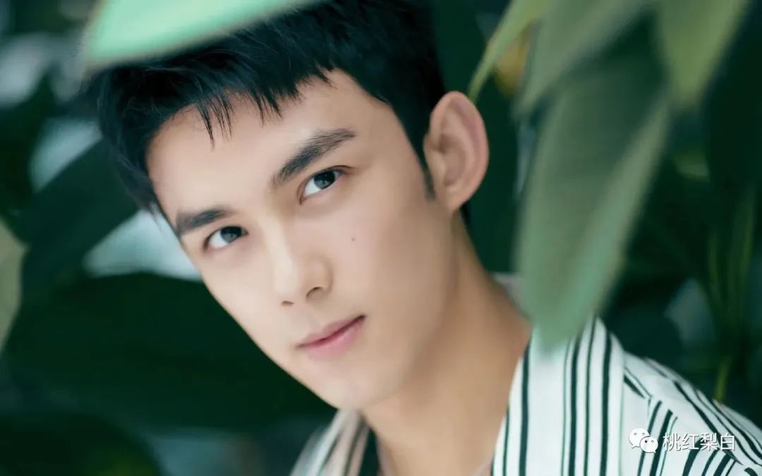 吴磊为什么从小就是童星,童星吴磊个人资料视频