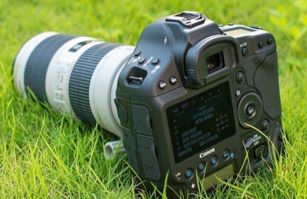 微单和单反哪个更值得入手,单反和微单哪个拍照好