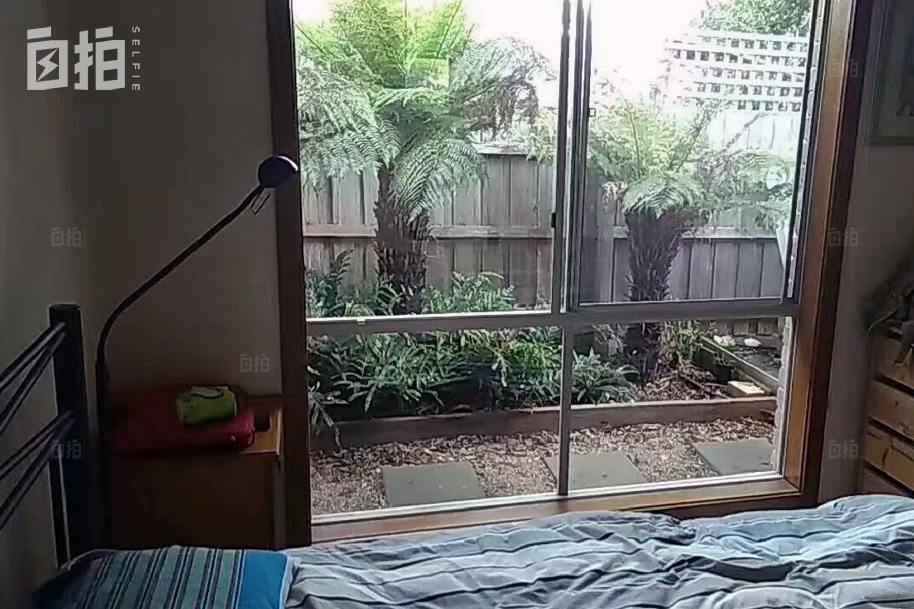 在老家上班像坐牢，我辞职出国打零工、猎狐狸，靠体力活养活自己