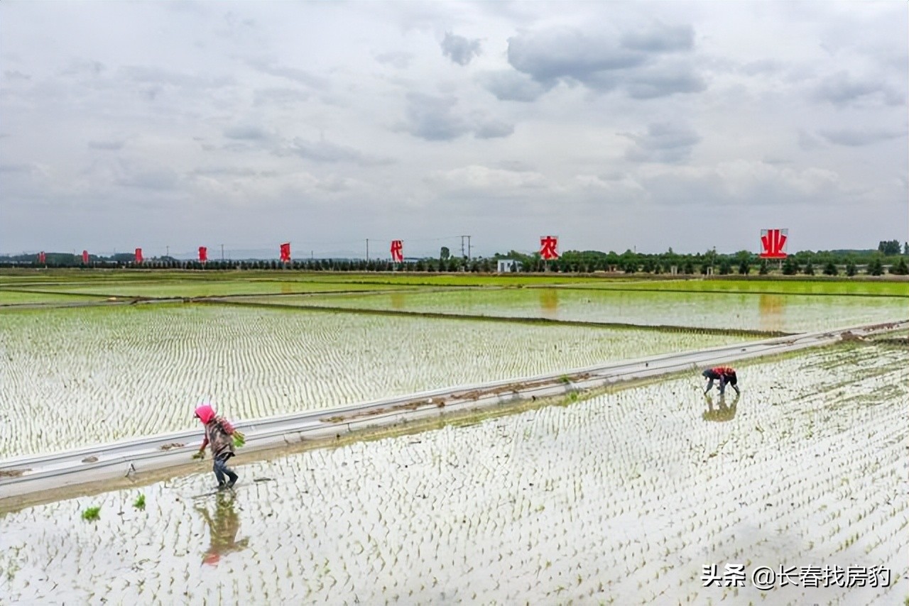 长春解封须知,长春解封条件是什么