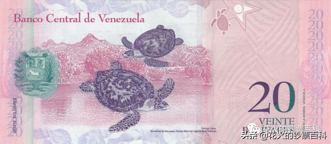 委内瑞拉二元纸币,委内瑞拉50000元纸币解析