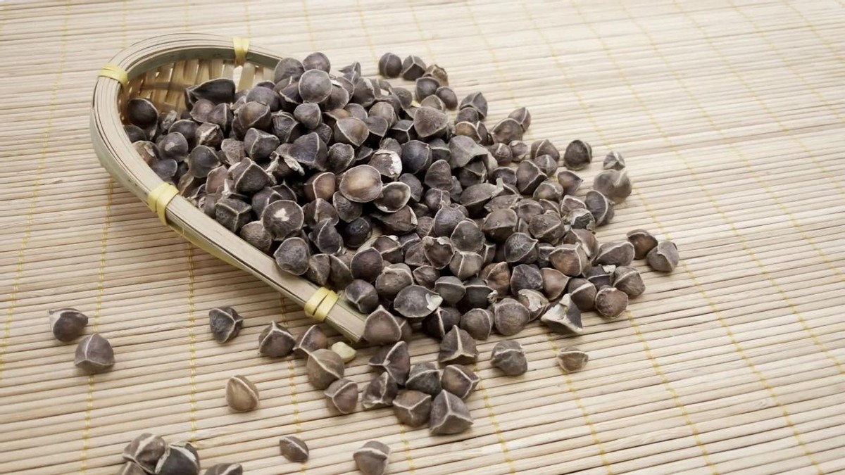 男子烧山被抓种树一万株,福建男子放火获刑11年