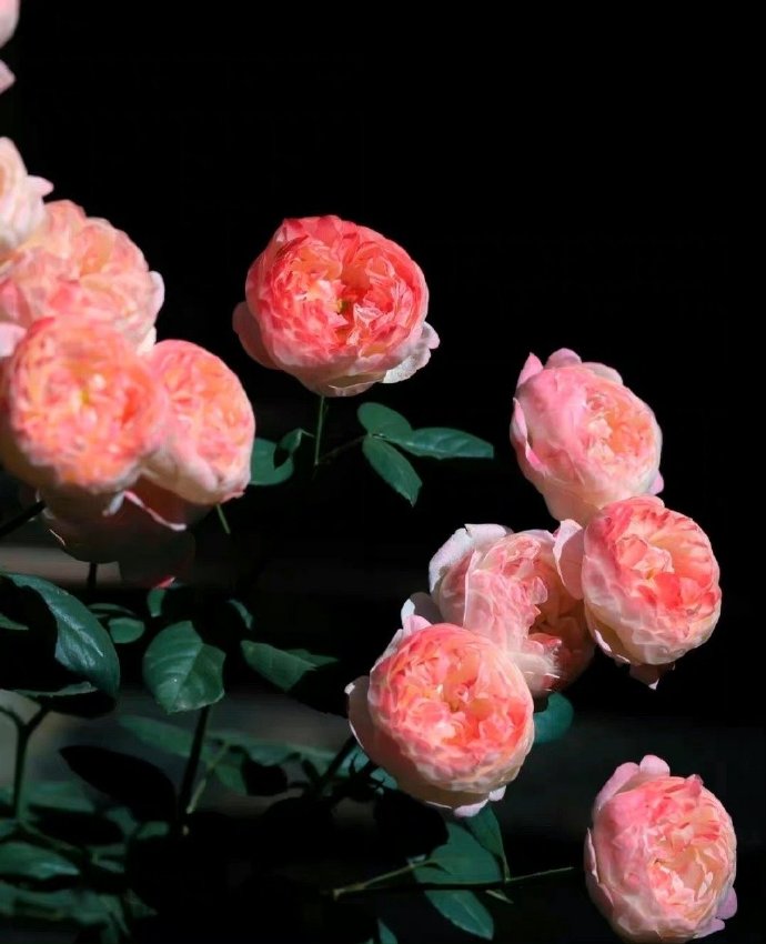 异性之间一旦缘尽会有这些信号,异性之间有这种思念才算真爱