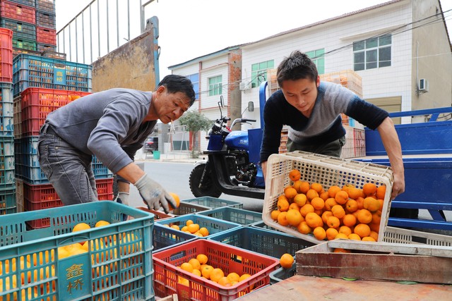 小生意带来的巨大财富,果蔬店盈利点