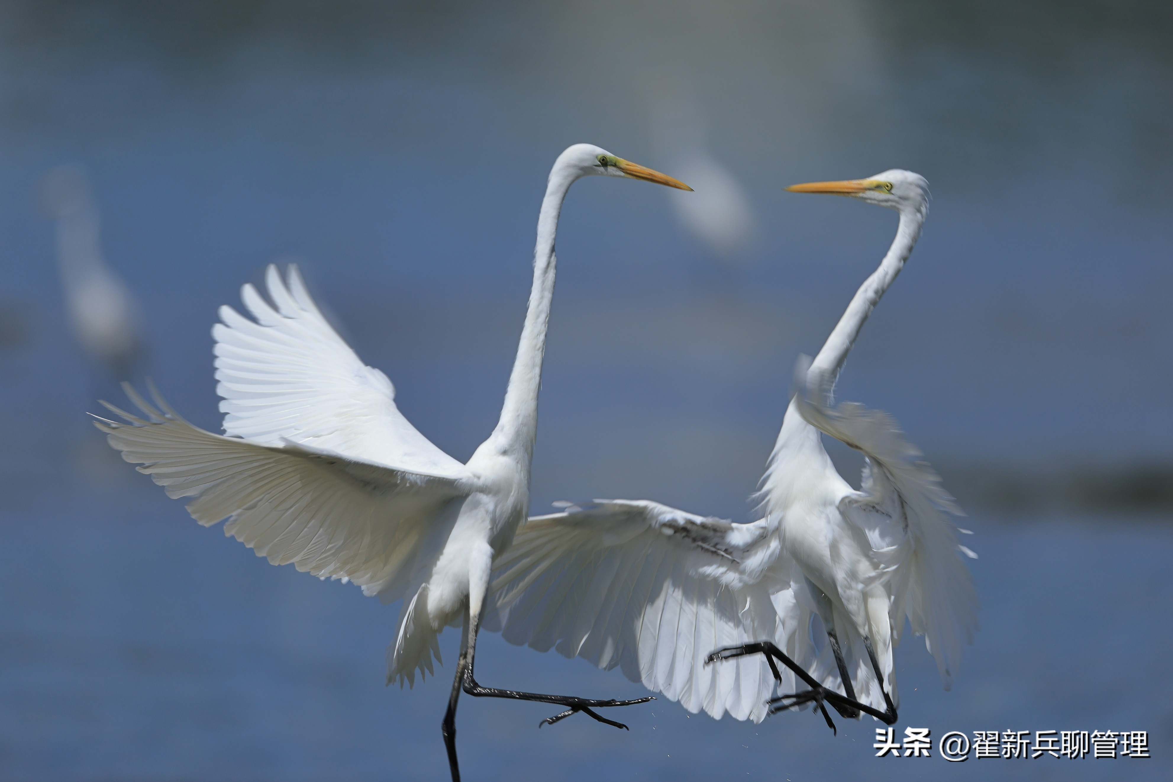 从钓鱼悟到的人生道理,钓鱼路上感悟人生最经典