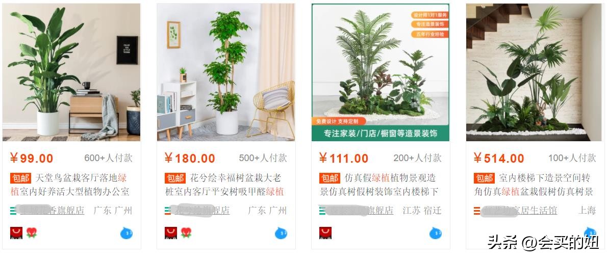 好看的绿植店铺推荐,招财又好养的店铺绿植