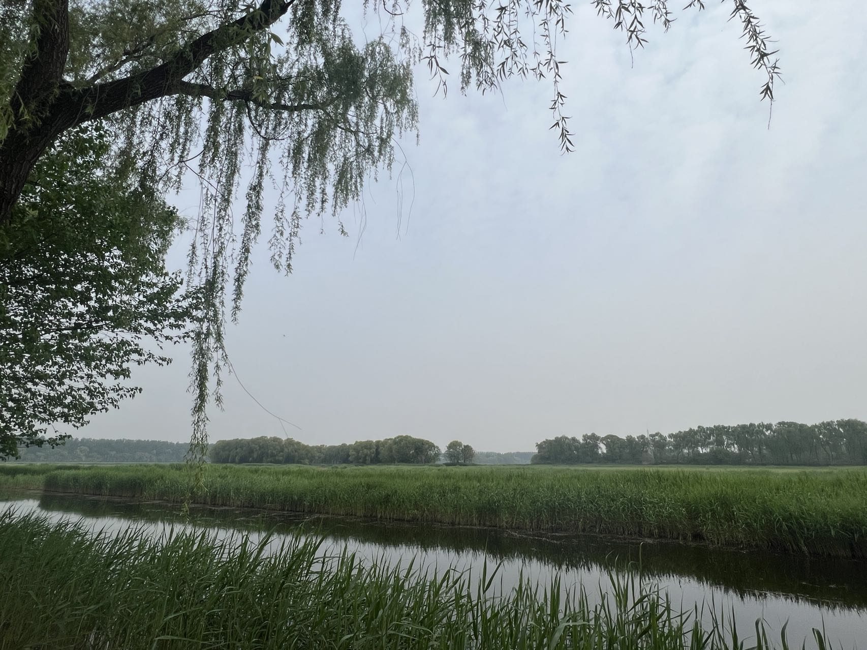 生态环境科普课堂,生态环境科普进校园