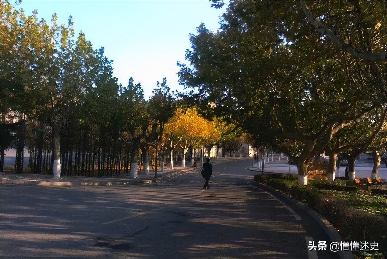 阿里最美女强人追随马云九年,阿里巴巴最厉害女高管